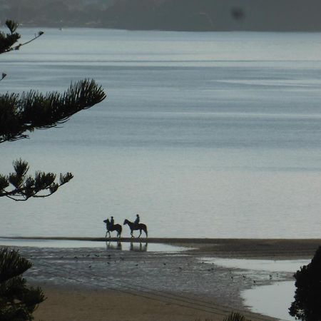 Changing Tides Bnb Paihia Esterno foto