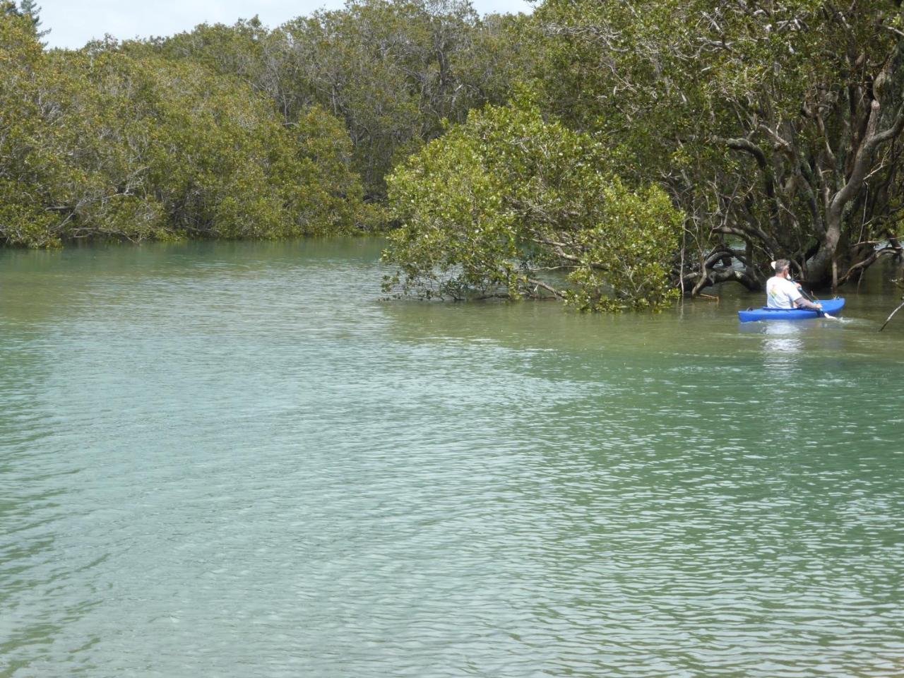 Changing Tides Bnb Paihia Esterno foto